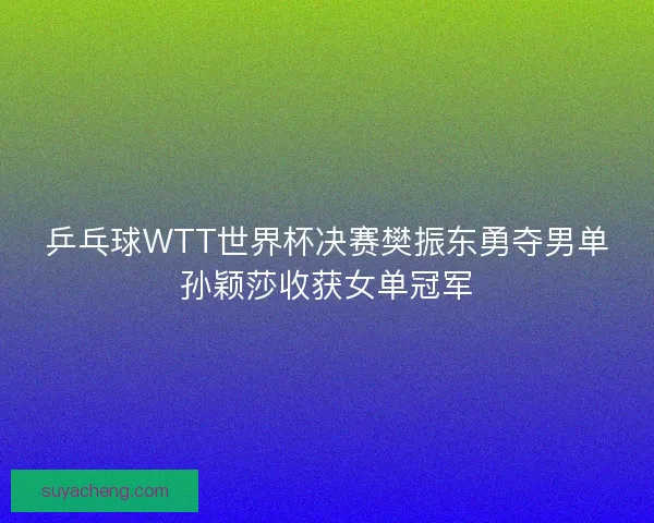 乒乓球WTT世界杯决赛樊振东勇夺男单孙颖莎收获女单冠军